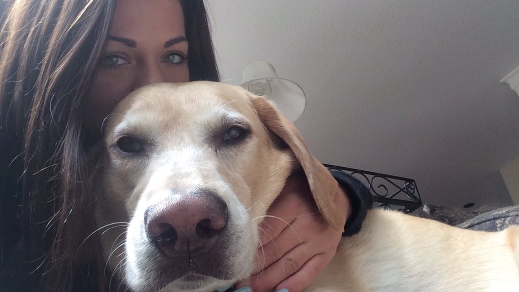 PallasHoffman's tweet photo. My sweet, handsome baby boy Milo goes in for surgery today to remove a tumor 😢 #SendHappyThoughts love you bubba https://t.co/amuAs7XKoI