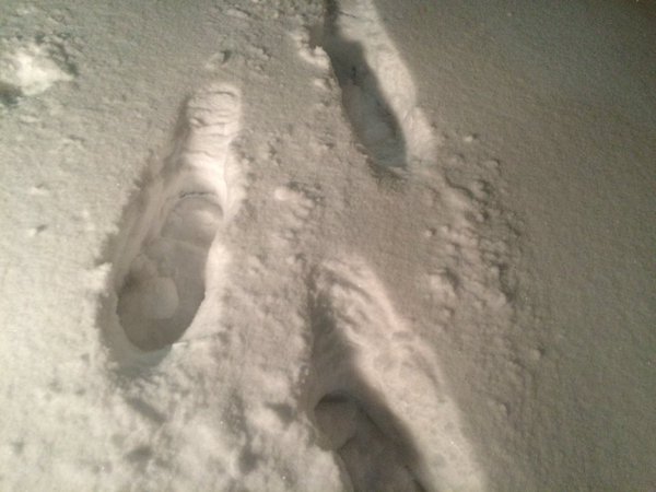 Rare #blizzard warning issued in Denver, but snowfall doesn't compare to past storms - bit.ly/1X50W0A