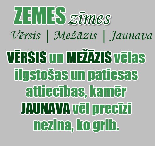 ZvaigznuTulks tweet picture