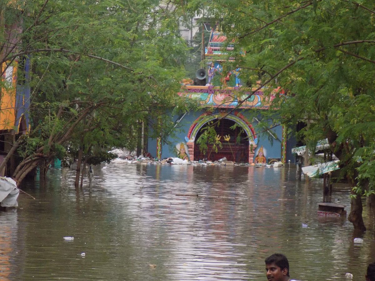 harifearsharp tweet picture