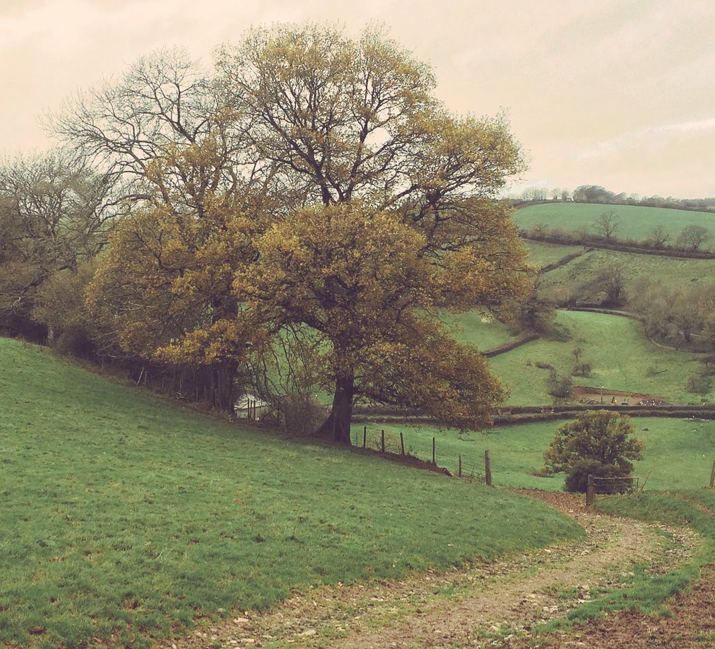 SmallholderHub's tweet image. The calm before the storm - hope all you #smallholders and #farmers are coping ok with this horrendous #weather?