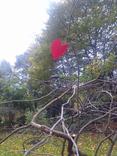 lambethpalace's tweet photo. A French member of @YearInGodsTime found this leaf at @lambethpalace this weekend #PrayForParis #PrayForTheWorld https://t.co/n9oz403rwU