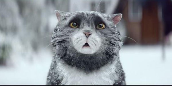 CampaignBrands's tweet image. WATCH: Sainsbury's launches 'charming' Christmas TV ad starring Mog the cat bit.ly/1Mz5veU by @saramayspary