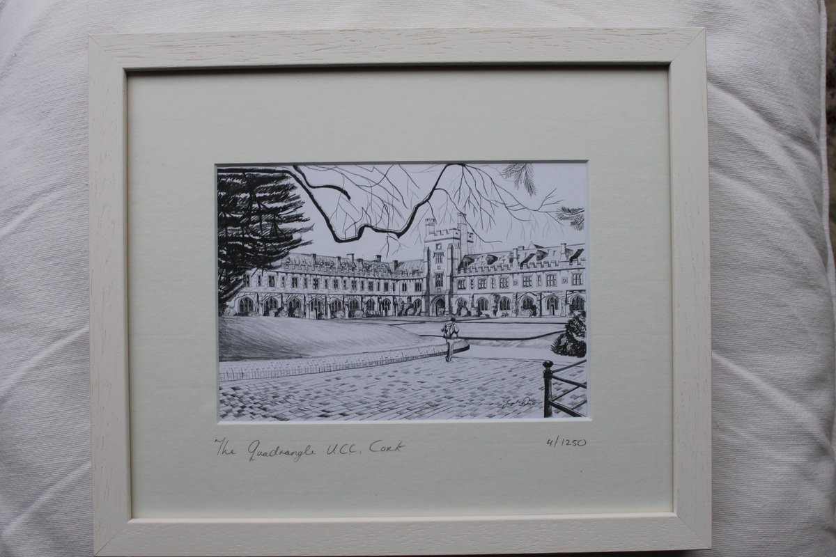 OdeaIrishArt's tweet photo. #theQuadrangle #UCC #CorkArt for more check out my website www.odeairishart,com https://t.co/TLJVepoPDc