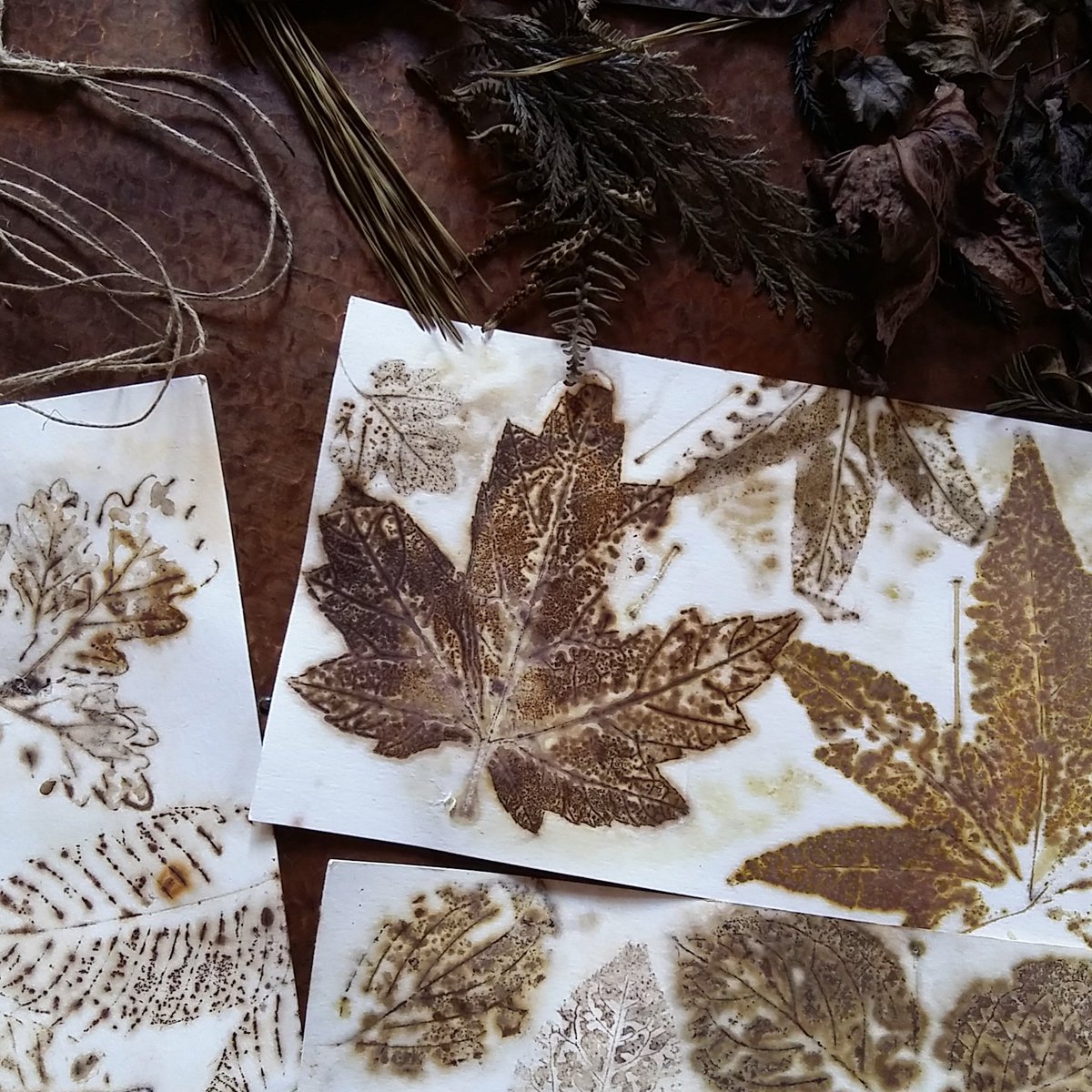 MundoLanar's tweet photo. Explorando el #PoderColorante de las #PlantasLocales #TintesNaturales #SobrePapel #Ecoprint #SlowColors @Tinctórea https://t.co/HS98GkeZ0V