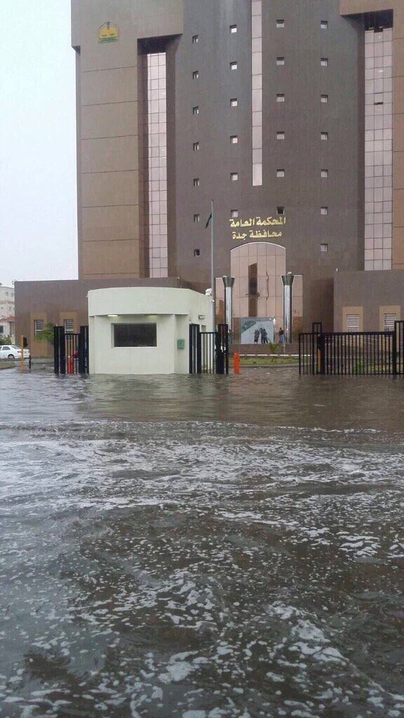 khaledalqadii's tweet photo. شاهد أتى الى المحكمة بنفسه https://t.co/hYSbCYtgVG