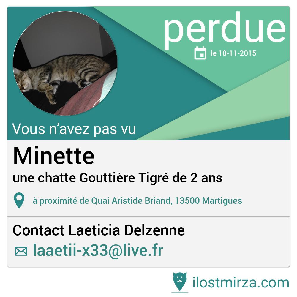 Vous pouvez aider Laeticia à retrouver son chat en diffusant cette annonce ! ilostmirza.fr/display.php?id…