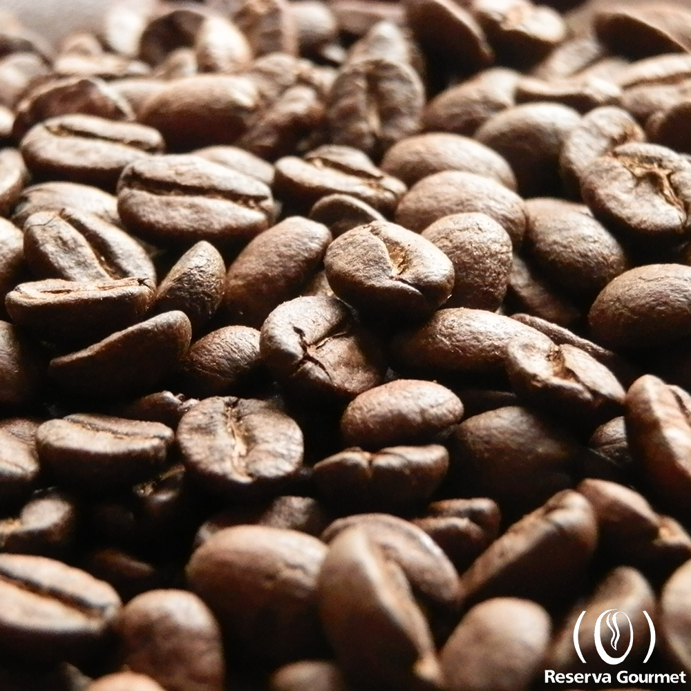 ReservaGourmett's tweet photo. Café Torrado em grãos Reserva Gourmet Intense
Acesse: https://t.co/y7LnXia0bP
#cafégourmet #café #caféemgrãos https://t.co/m5hZJjVwhb