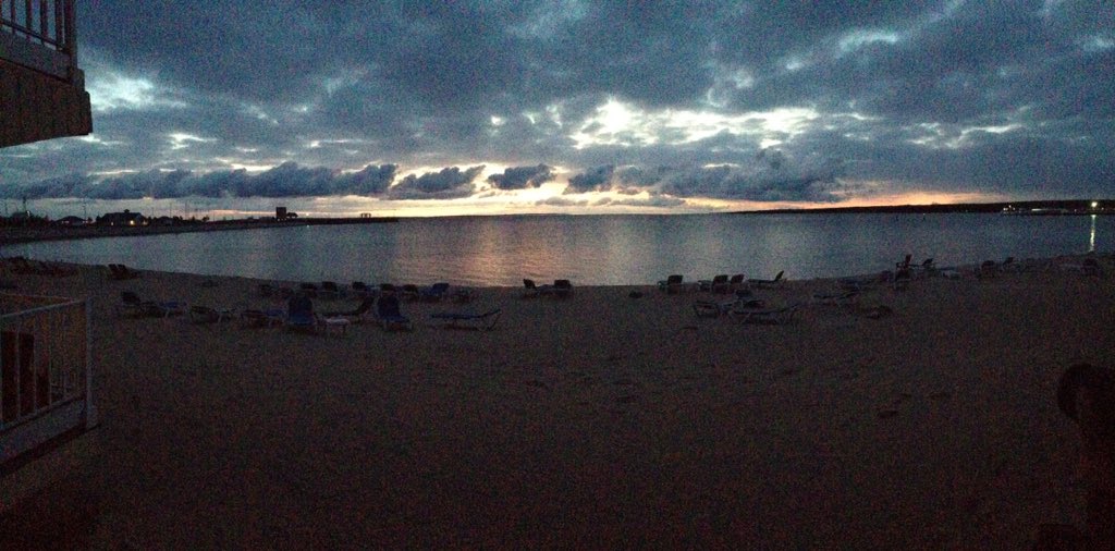 randomfriend666's tweet image. 