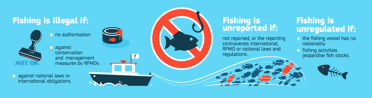 What Is Illegal Unreported And Unregulated Fishing