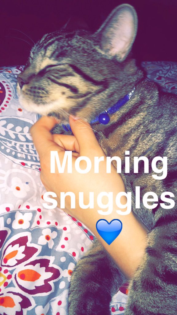MissJessicaRene's tweet photo. https://t.co/1PEFYU5Vso