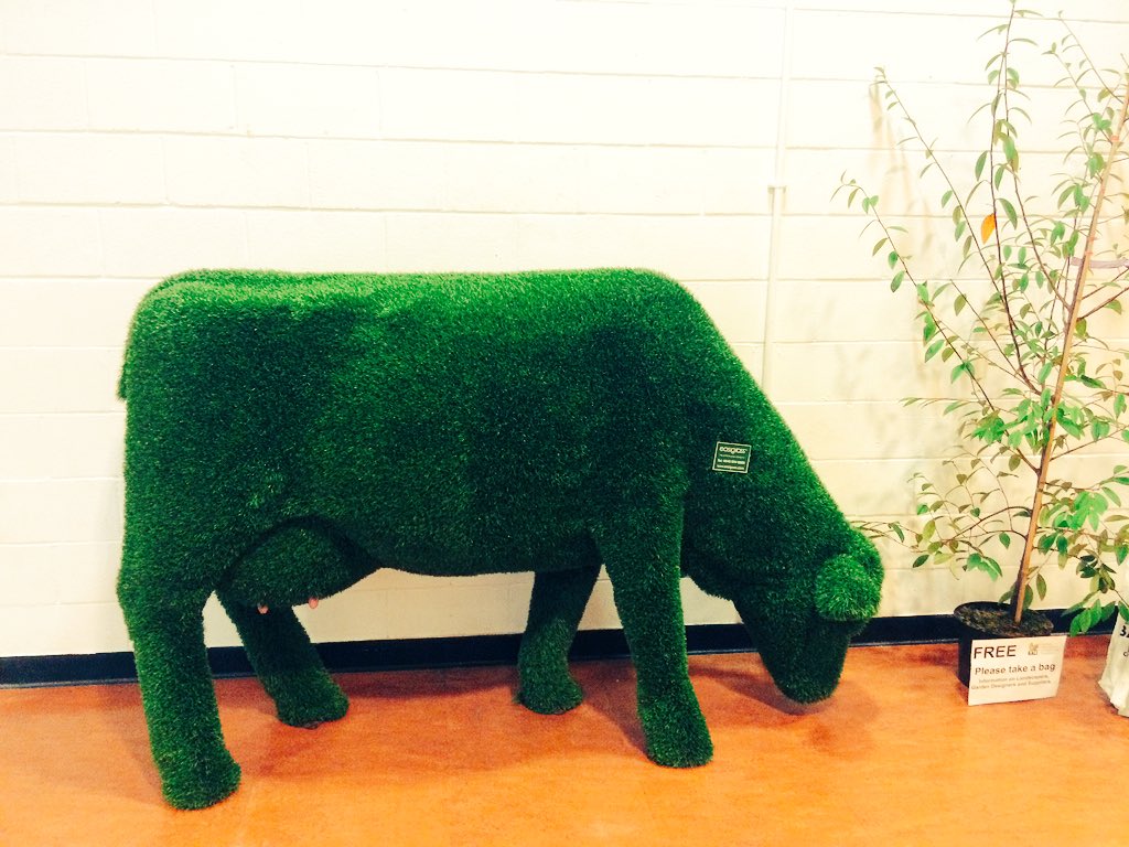 Millboard_UK's tweet image. Moo @Easigrass #millboard #outdoors #landscapers #fakegrass