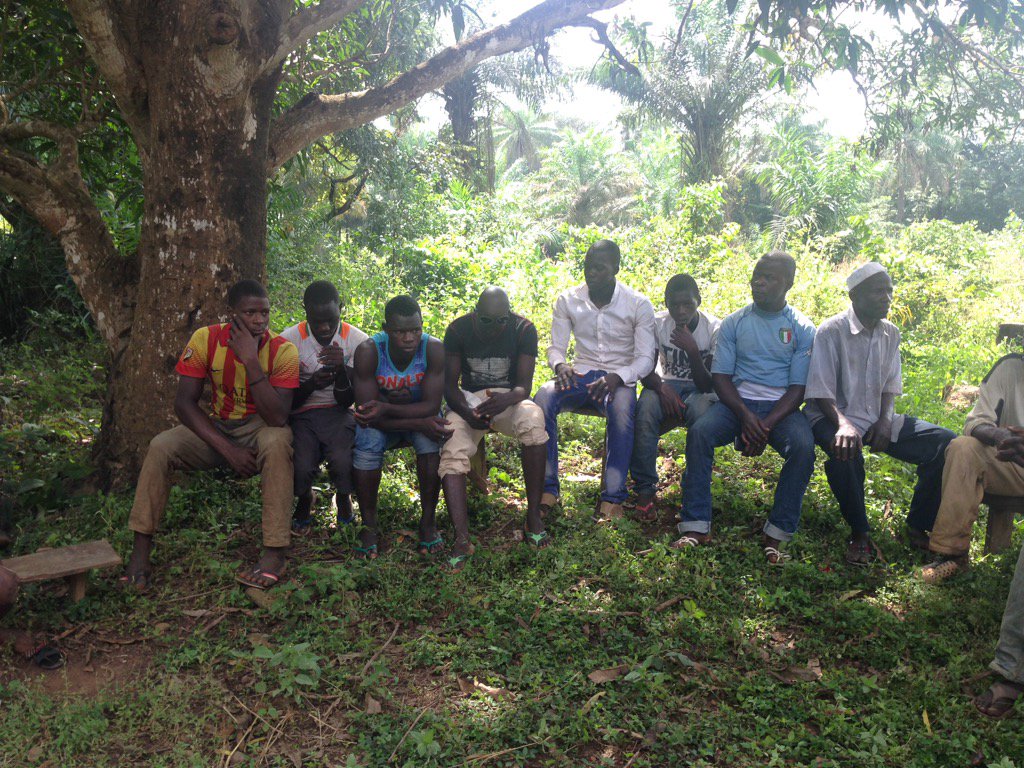 Ibou Niang tweet media