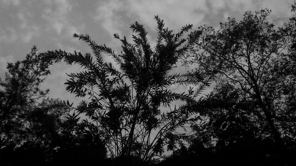 Manik Munankami (@munankamimanik) on Twitter photo 