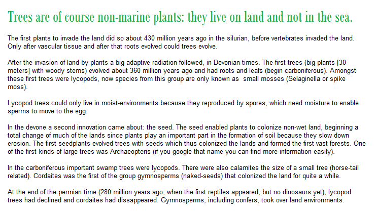 4SeasonsTree925's tweet image. #BrushChipping #TreeCleaning #SanRamonTreeServices