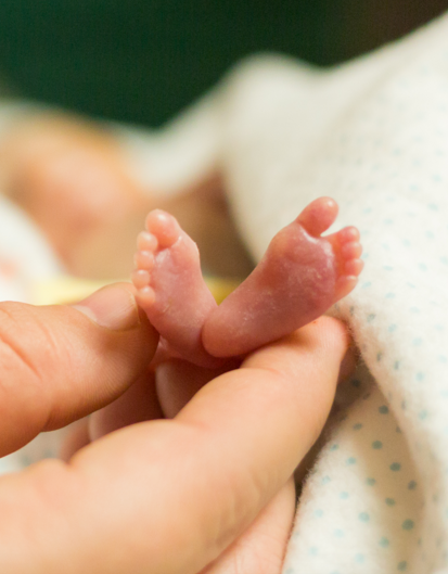 LilaGraceRose's tweet photo. The humanity of these babies, born premature, shows us why we must protect the preborn. #worldprematurityday https://t.co/clx86E1Ks0