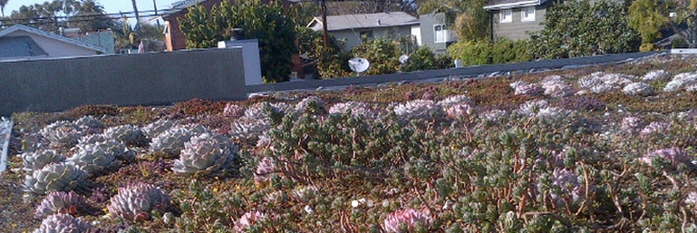 Greensulate's tweet photo. #DYK vegetated roofs clean local air &amp; water &amp; help urban stormwater runoff? #greenroof https://t.co/EgaRU2Su5x https://t.co/GocnKeC1UX