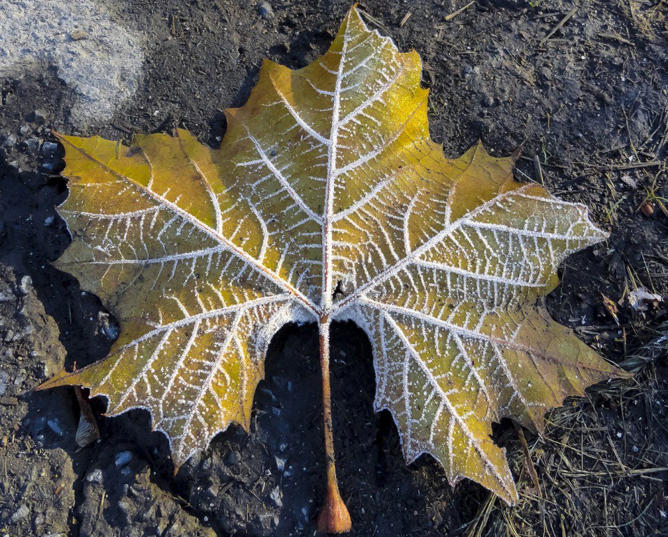 masslivenews's tweet photo. Check out all the 2015 Fall Photo Contest winners and runnersup. #FallFoliage #MAFall https://t.co/z0Ha6bbPyL https://t.co/MT3tRj9PIo