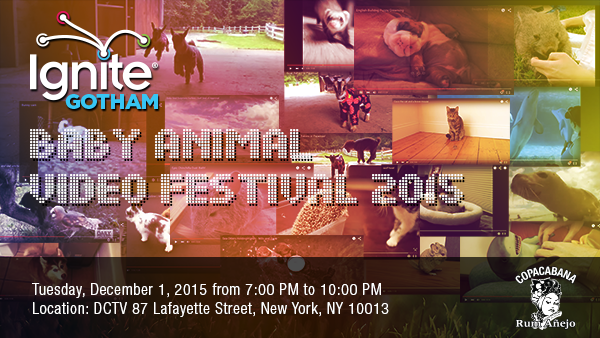 tekservestudio's tweet photo. So, this is happening: the baby animal #video festival is coming to NYC: https://t.co/weJsKCmi8U #ignitegotham https://t.co/ZHHaDgarf7