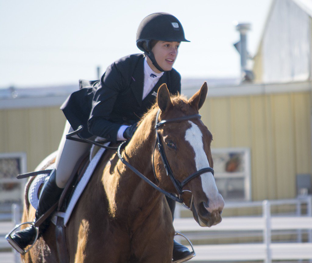 kstatecollegian's tweet photo. Equestrian upsets No. 6 TCU in final fall home meet https://t.co/CakqEgZV2e #horsecats #kstateequ https://t.co/6c7tRGkO5w