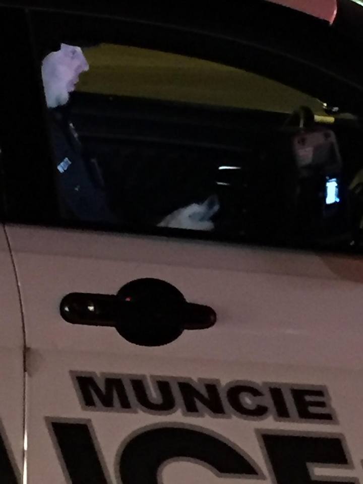 Safe_Roads's tweet image. Indiana - Muncie - Texting While Driving Cop goes viral.thestarpress.com/story/news/loc… @end_dd @StopDstrxns @DOMTIBERI