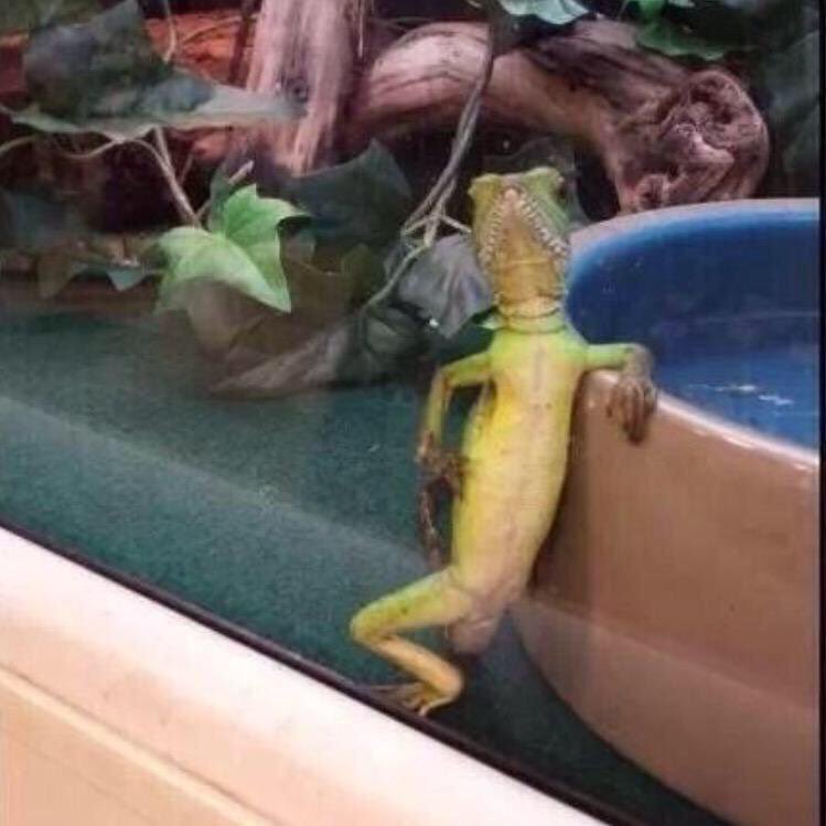 Intl_Highlife's tweet image. When you're high af in the kitchen and your mom walks in