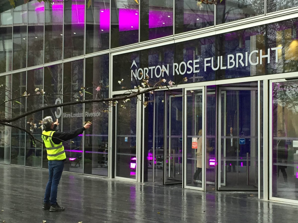 IcklePickles's tweet image. @NLegal_Global @TheColorProject the Testing phase before the Atrium &amp;amp; external area go #purple #WorldPrematurityDay