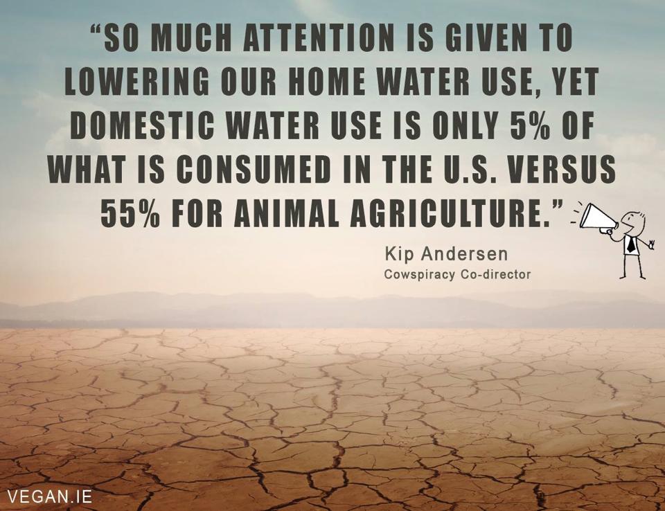 Cowspiracy's tweet photo. Have you checked us out on @Netflix yet? #Cowspiracy #Drought https://t.co/p84jzYAASw