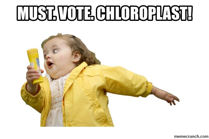 Chloroplast_war's tweet photo. #organellewars @TallBiology https://t.co/JQxtPytaUU