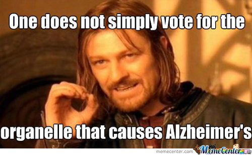 Chloroplast_war's tweet photo. @BodysGolgi @TallBiology #organellewars https://t.co/cZaZ7oXTX7