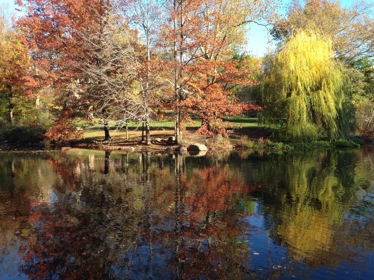 sarampines's tweet photo. good morning! #nyc #ILOVENY #centralpark #nycinfall #iphonephotos #nycparks #nycphotos https://t.co/Bg4Kli6nE4 https://t.co/tvWPp3MkRy