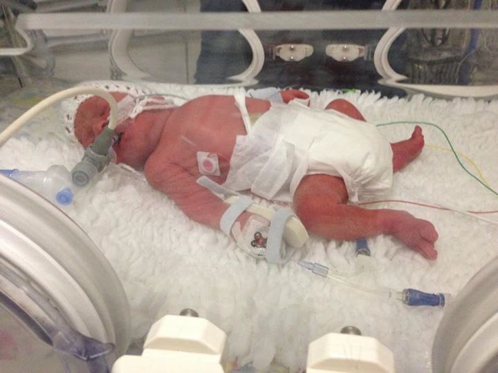 Adele Joicey tweet media