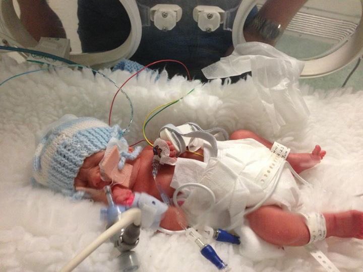 Adele Joicey tweet media