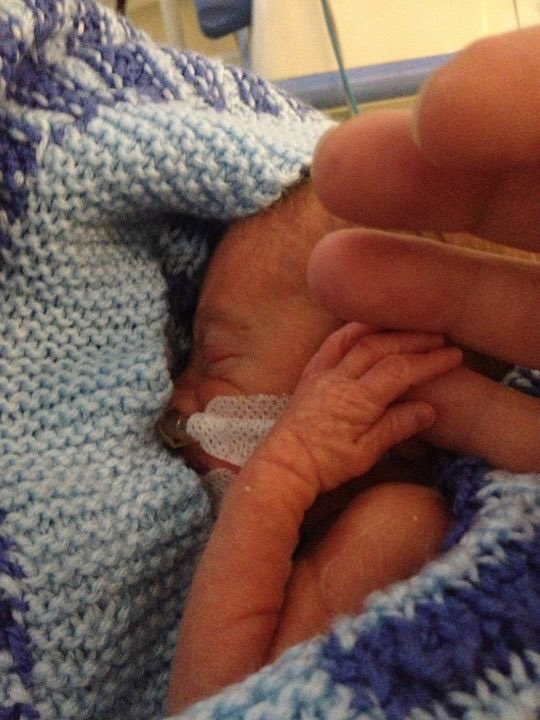 Adele Joicey tweet media