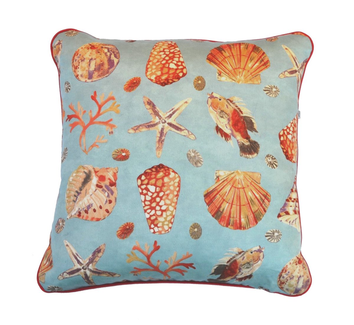 zeppy_seaside's tweet photo. Sea #Shore - #Shells - Fish - Washed Look - #Seaside - Handmade - Nautical - Ocea, LINK:
https://t.co/hoYgfPSvUV https://t.co/km7EkOwb4w