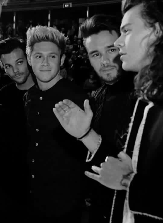 n_dimitrovska's tweet photo. #MTVStars One Direction
#1DMK 🇲🇰 https://t.co/WhZ182qzf1