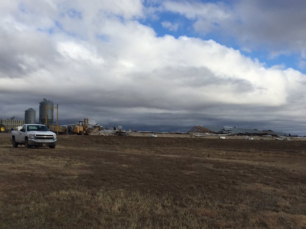 View image on Twitter