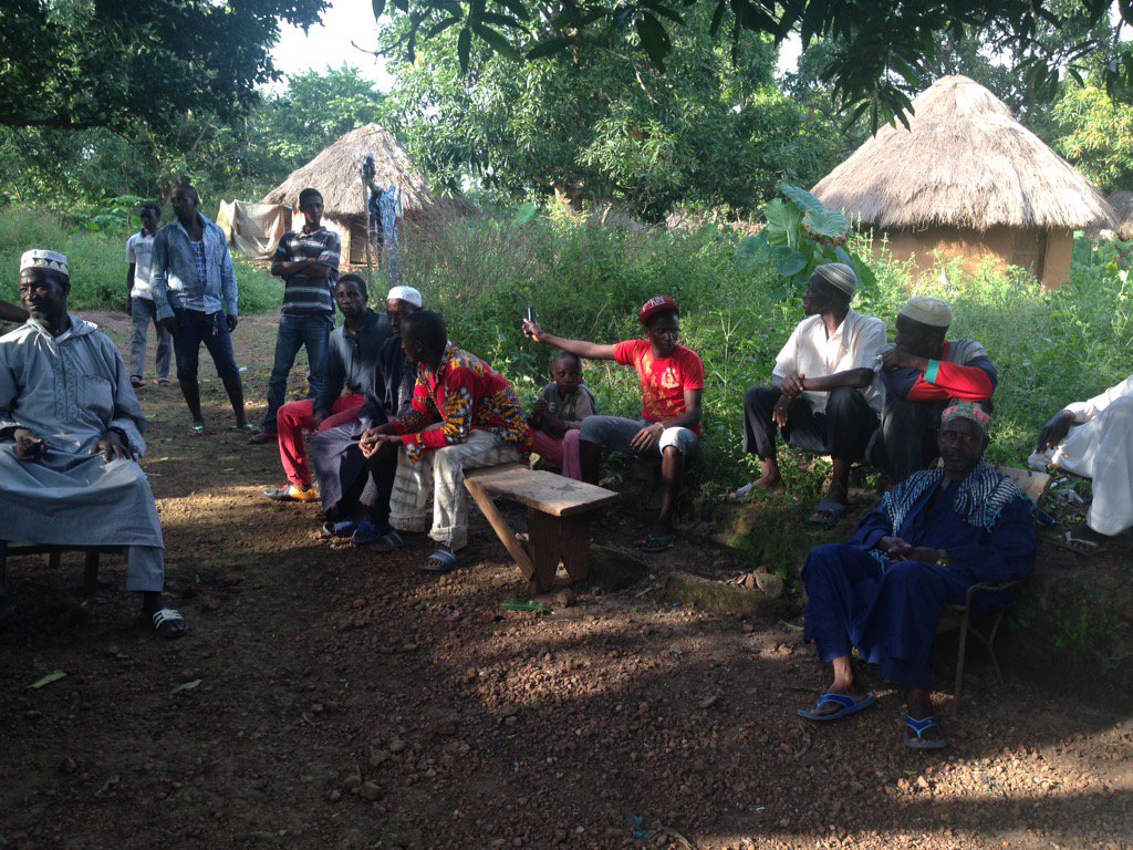 Ibou Niang tweet media