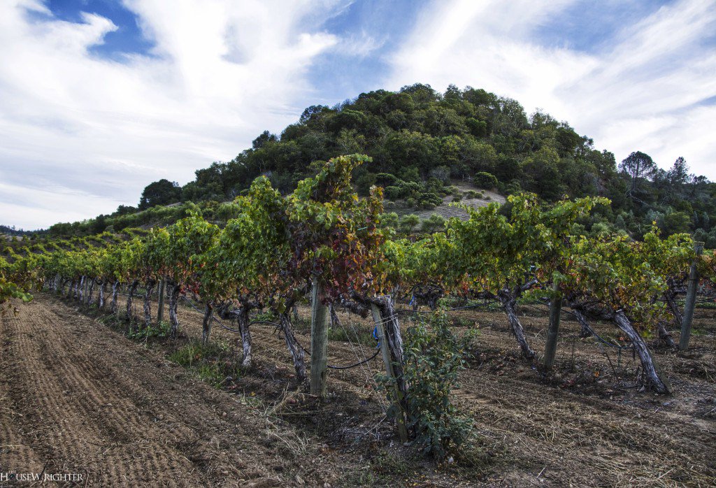 A Gold Medal Thanksgiving at Blue Rock Vineyard bluerockvineyard.com/wordpress/a-go…