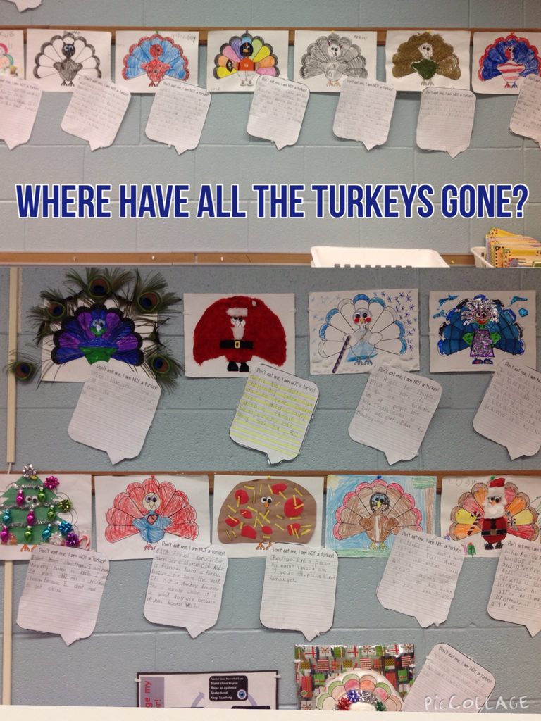Where have all the turkeys gone? #disguisedturkey #aurorahuskies pic-collage.com/_iuamWQbz