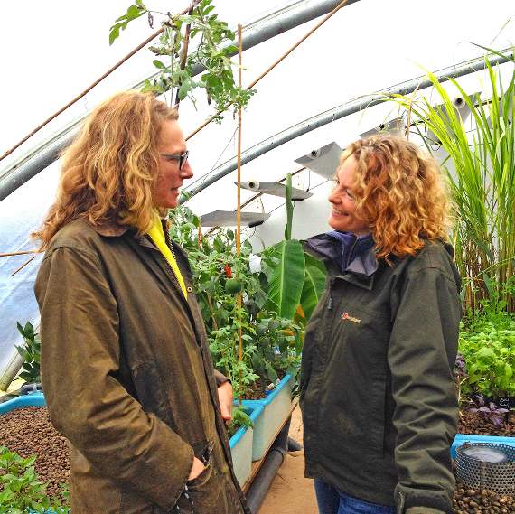 WLHydroponics's tweet photo. Labour candidate Catherine Fookes thinks small businesses need more support #Hydroponics https://t.co/tNkWma609z https://t.co/xcxUUTSIOk