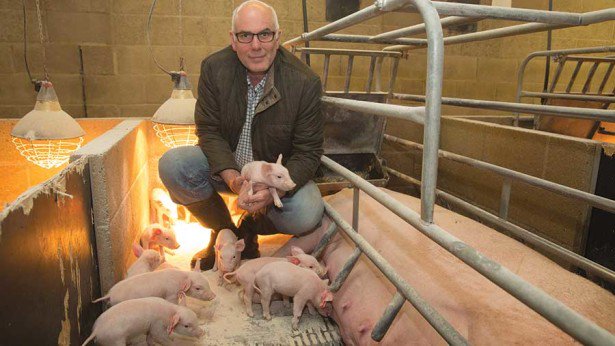 FarmersWeekly's tweet photo. Easy-lay pig flooring has helped farmer focus writer Tony Bayles cut pig injuries https://t.co/nAwvFodPel https://t.co/w6jvjC9F6K