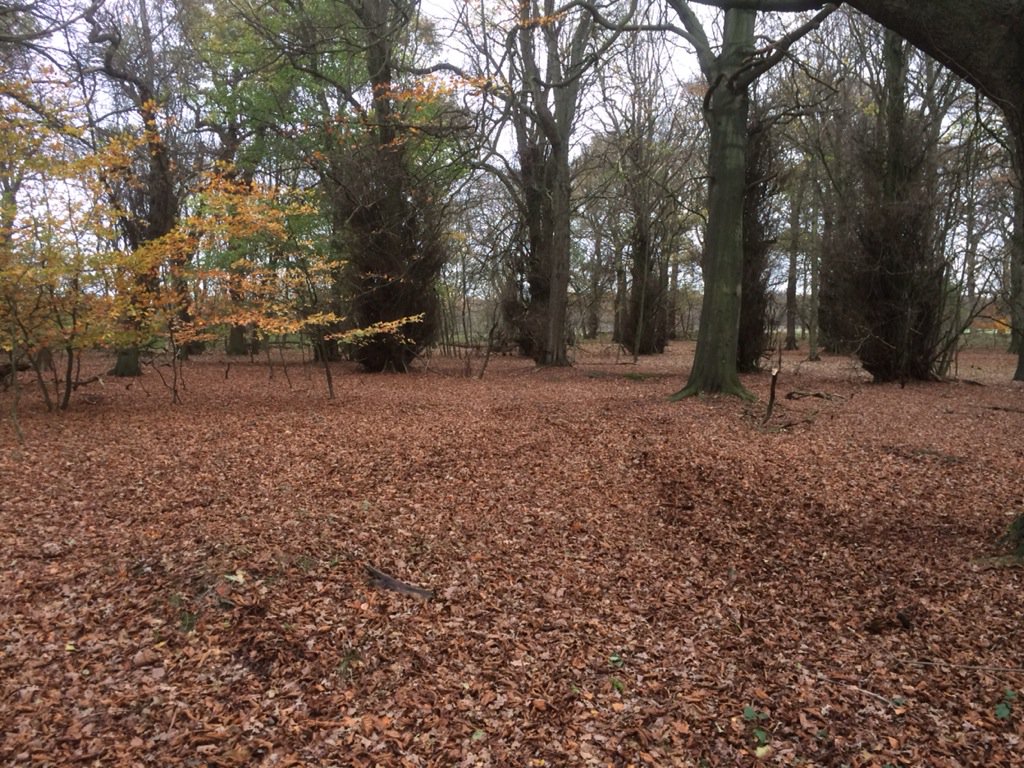 Catch_TheSpirit's tweet photo. Flexing the #discgolf design muscles again today at #gosforth park. Hopefully this area will see some action in 2016 https://t.co/TDlXIHOFAz