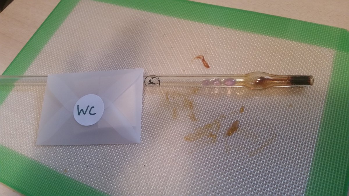 AmeriCanadians's tweet photo. Let's go #WhiteCookie ! Super tasty super clean. Figure this is the #daystrain of the batch #cannoisseur https://t.co/2twf90sW54