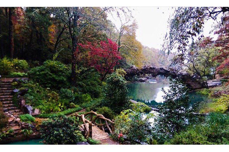 Steve Canady (@cjteacherstevec) | Twitter