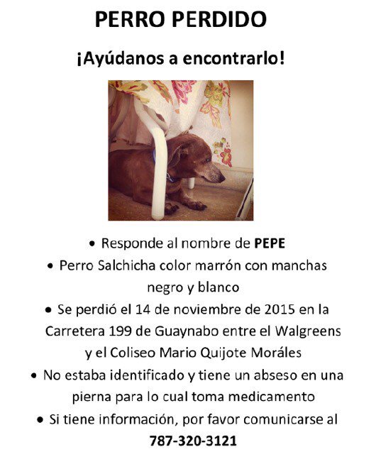 Licenciadita's tweet photo. @Nalgorazzi Pepe está perdido! Ayúdalo a regresar a su casa! Es un perro extremadamente adulto ya. Comparte! https://t.co/k3tp6aLsi1