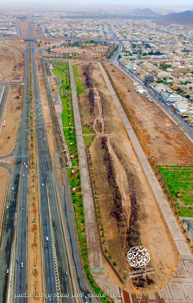 ����� ���� �������