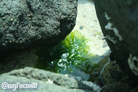 myFocusID's tweet photo. @AyuCayda @KabBanyuwangi https://t.co/wyugrpldKt