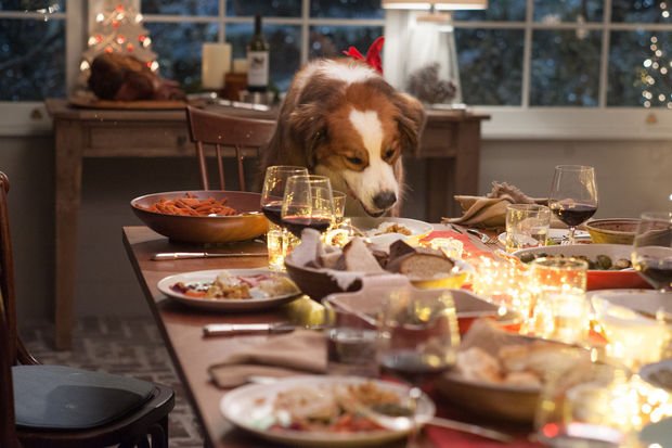 How a movie's food makes it to the screen