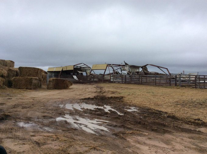 View image on Twitter View image on Twitter